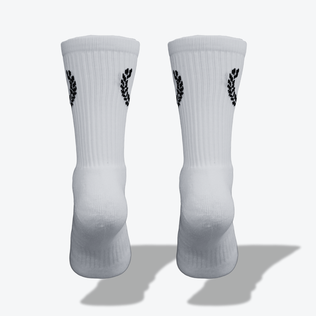 DAILY SOCKS